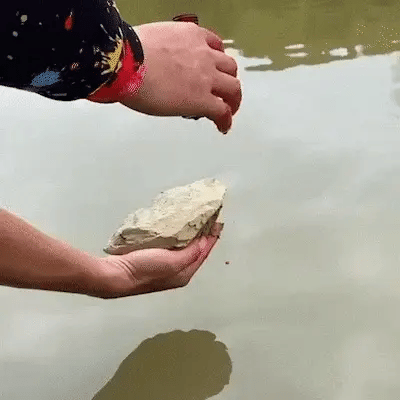 Fish Catching Liquid ( Buy 1 Get 1 Free )